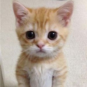 Meet your Posher, Eve